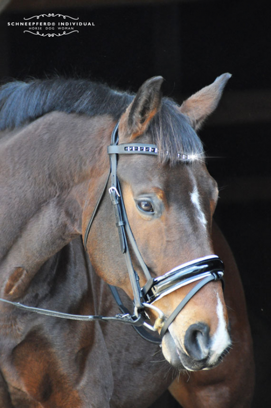 HUMMA Trensenzaum Für Steckenpferde - Nachhaltiges Leder Braun Größe XL