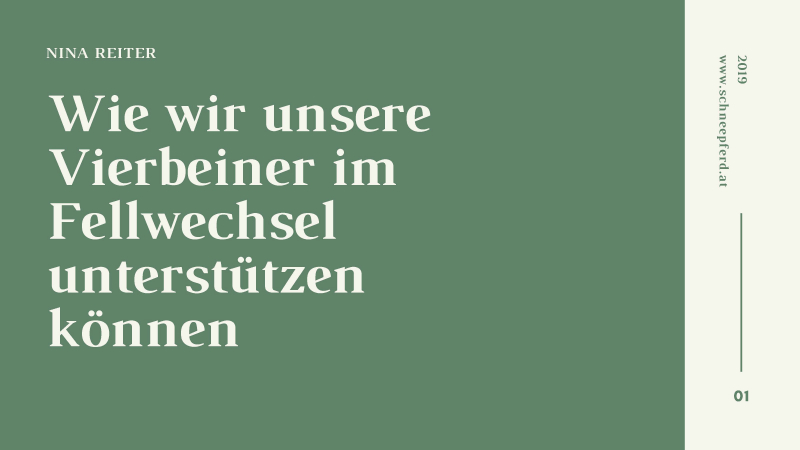 "Wie wir unsere Vierbeiner im Fellwechsel unterstützen können" - gratis Download Broschüre -